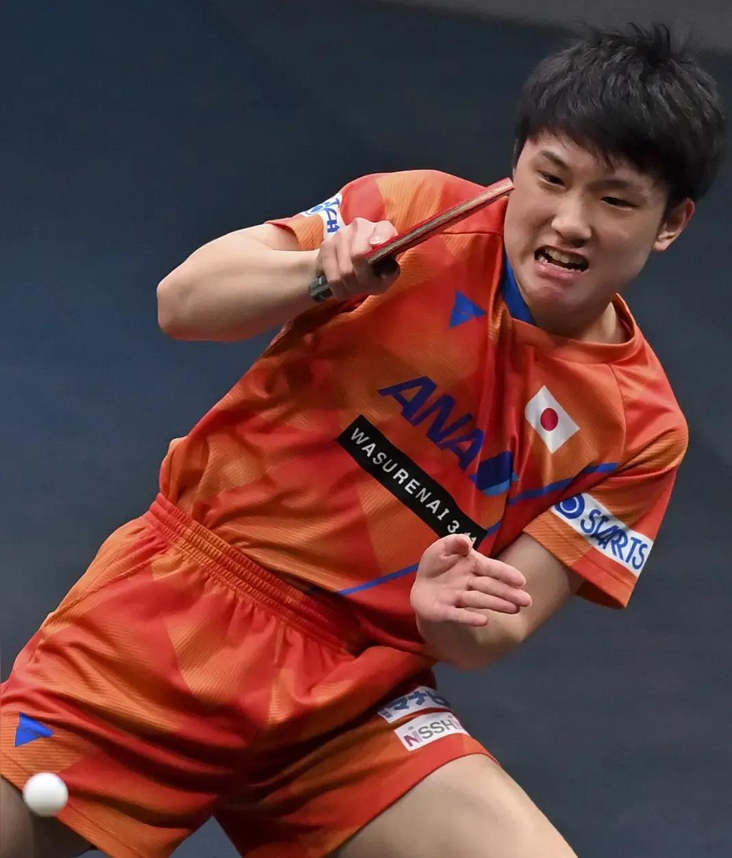 瑞典队碾压韩国队，张本智和点燃赛场